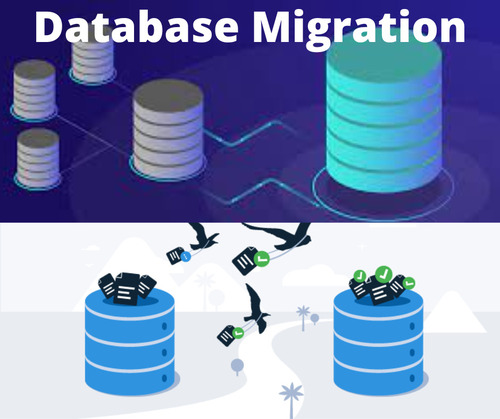 Database Migration Services