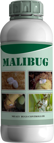 Bio Pesticide To Control Mealybug - Packaging Type: Available In 250Ml