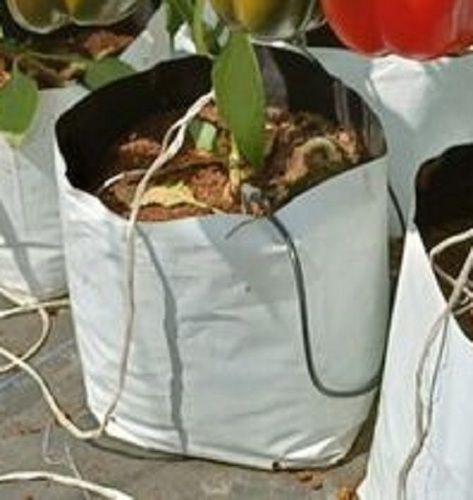Biodegradable And Eco Friendly Plain Disposable Grow Bags For Growing Plants