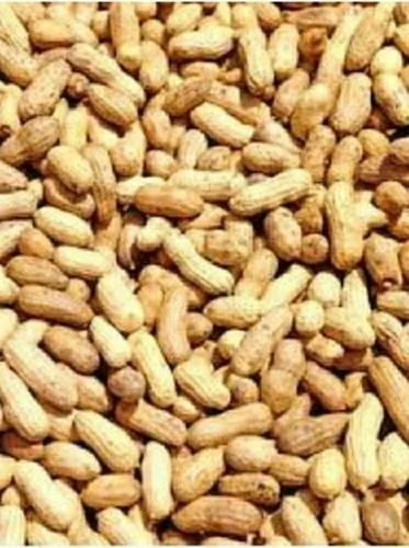 Commonly Cultivated Natural Raw Dried Food Grade Peanuts