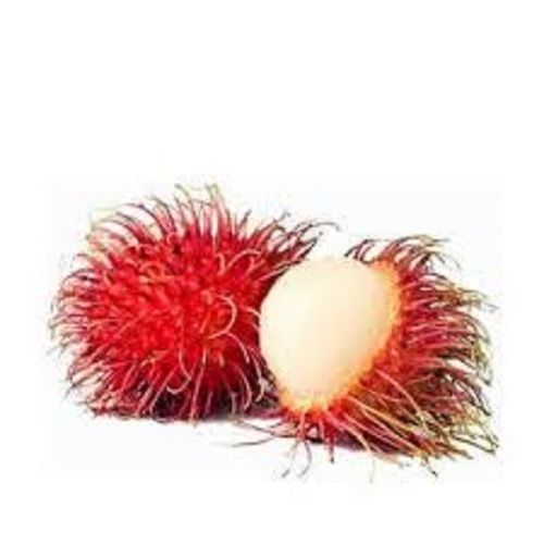 Indian Origin Common Cultivation Oval Shape Peeled Red Sweet Rambutan