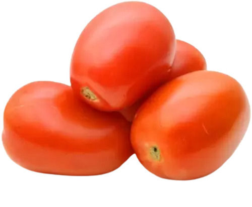 70% Moisture Oval Shape Raw Fresh Tomato For Cooking And Salad Use Shelf Life: 4 Days