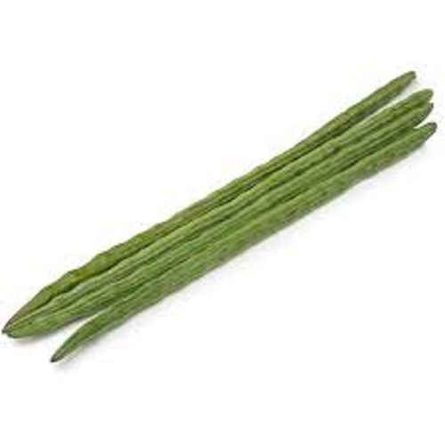 Naturally Grown Green Raw Processing Fresh Drumstick 