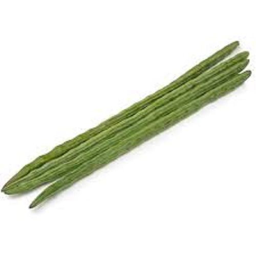 Long Naturally Grown Green Raw Processing Fresh Drumstick 