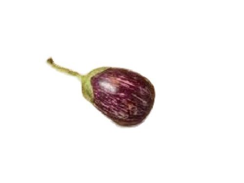 Naturally Grown Oval Shape Raw Processing Type Fresh Brinjal 