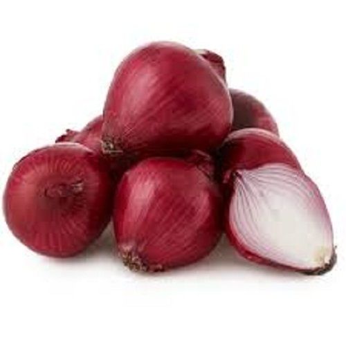 Oval Shape Naturally Grown Fresh Red Onion