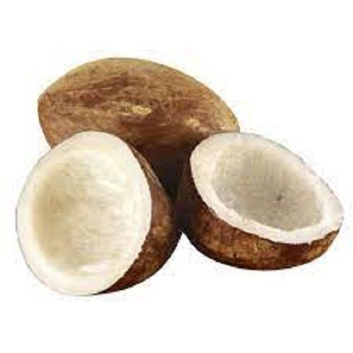 Round Shape Medium Size Brown Hygienically Packed Dried Coconut