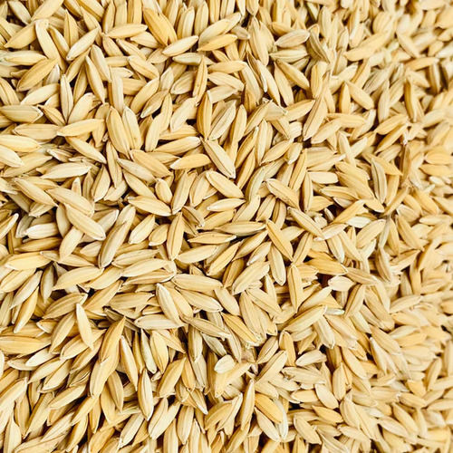  सूखा मध्यम अनाज 100% शुद्ध भारतीय मूल का भूरा धान चावल
