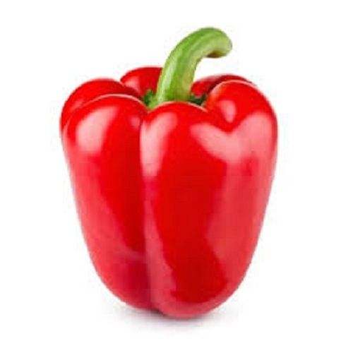 100% Naturally Grown Round Shape Fresh Healthy Raw Red Capsicum