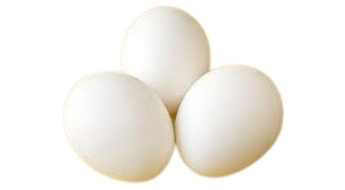 White Poultry Farm Fresh Egg