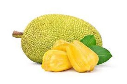 Green Jackfruit