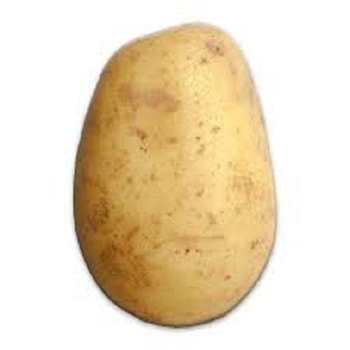 Indian Origin Naturally Grown Light Brown Fresh Raw Potato