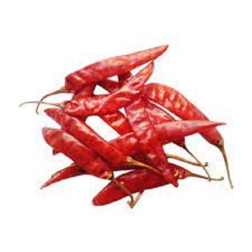 100% Pure And Organic Spicy A Grade Long Shape Dried Red Chili