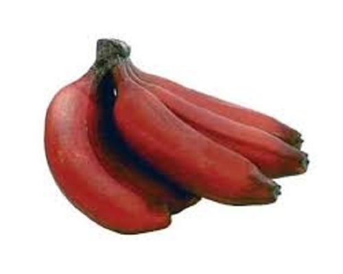 Naturally Grown Fresh Medium Size Red Banana 