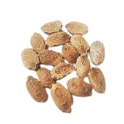 Brown Dried A Grade 100 Pure Bitter Gourd Seeds at Best Price in Hosur