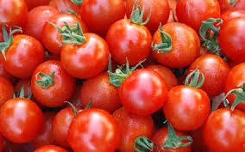 100% Healthy And Pure Round Shape Naturally Grown Fresh Red Tomato