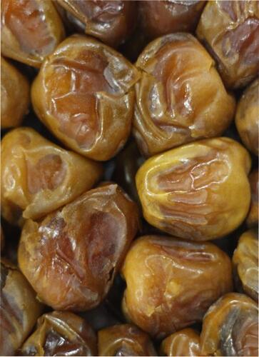 dry dates