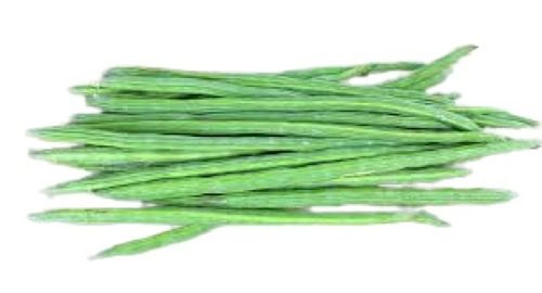Green Long Shape Raw Processing Form Naturally Grown Fresh Drumstick 