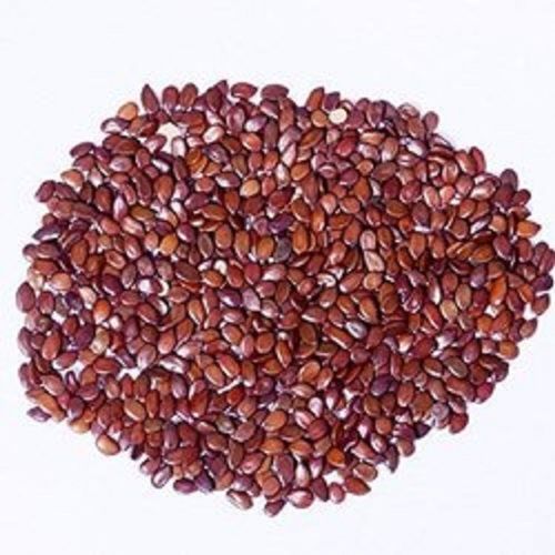 100 Percent Pure A Grade Fresh And Dried Brown Fodder Seeds