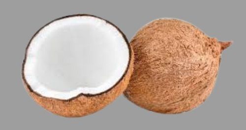 Common Cultivated A Grade Indian Fresh Coconut