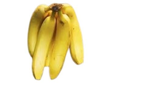 Indian Origin Curved Shape Common Cultivation Yellow Sweet Banana 