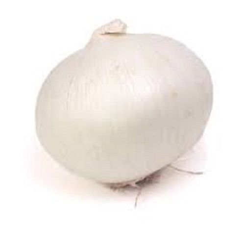 100 Percent Organic And Farm Fresh Round Shape Raw White Onions