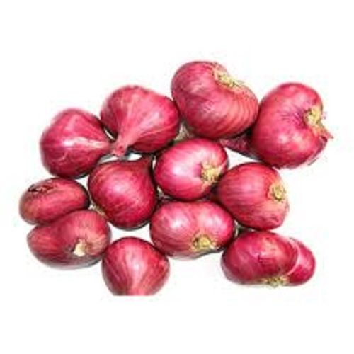 100 Percent Organic And Farm Fresh Round Shape Small Red Onion