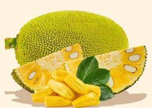 Delicious And Oval Shape Raw Fresh Jackfruit