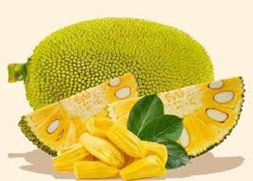 Delicious And Oval Shape Raw Fresh Jackfruit Moisture (%): 39%