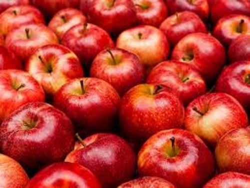 Indian Origin Common Cultivate Round Shape Sweet Taste Red Fresh Apple