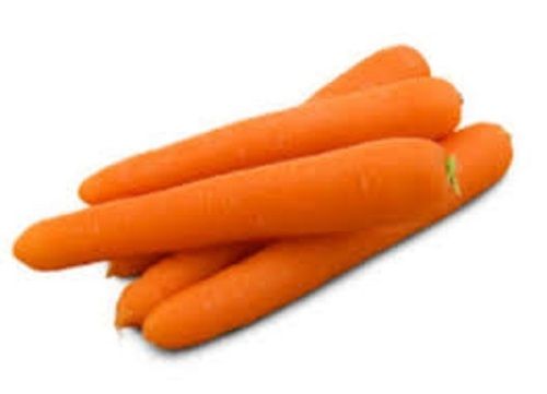 Long Shape Healthy Fresh Orange Carrot Shelf Life: 4 Days