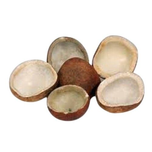 Dry Common Brown Round Shape Raw Coconut