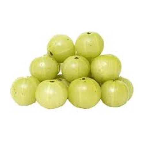 Common Sour Green Amla