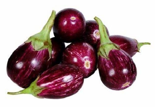 Raw Oval Shape Naturally Grown Fresh Brinjal