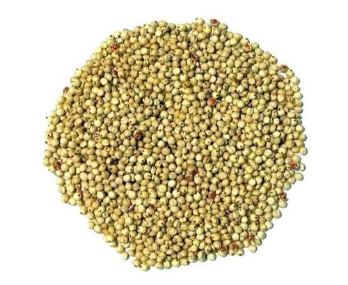 Commonly Cultivated Pure And Dried Whole Round Bajra Seed Admixture (%): 5%