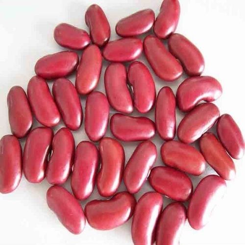 Export Quality Wholesale 5.5MM Size 100% Organic Red Kidney Beans