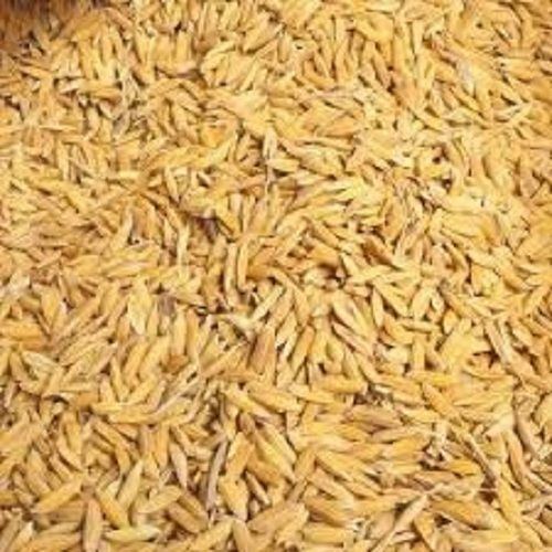 Natural Organic Indian Origin Medium Grain Dried Paddy Rice