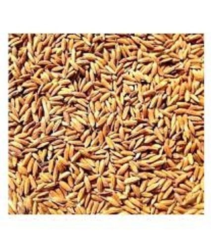 Indian Origin 100% Pure Long Grain Dried Paddy Rice