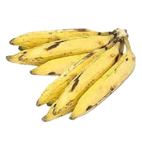 Sweet Taste Long Shape Hygienically Packed Nenthran Banana