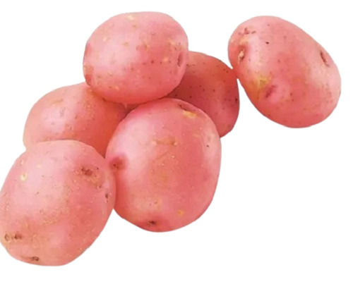 Natural And Healthy 63% Moisture Preserved Fresh Red Potatoes