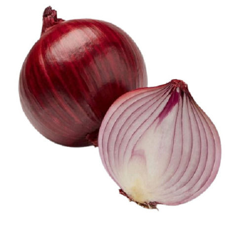 Natural Taste And Nutrients Contain Fresh Onion For Kitchen Dishes