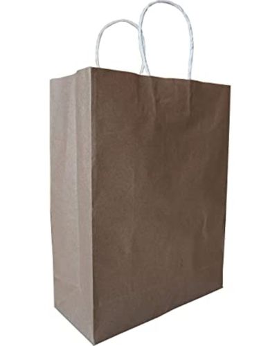Plain Brown Kraft Environmentally Friendly Paper ,Paper Bag With Twisted  Handle - Halapack | Eco Friendly Online Store