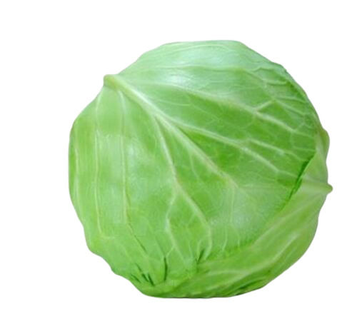 Pure And Natural A Grade Round Fresh Raw Whole Cabbage