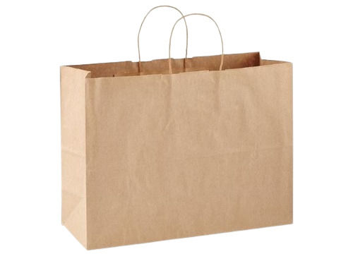 14 X 6 X 16 Inch 3 Kg Max Load Double Handle Paper Carry Bag
