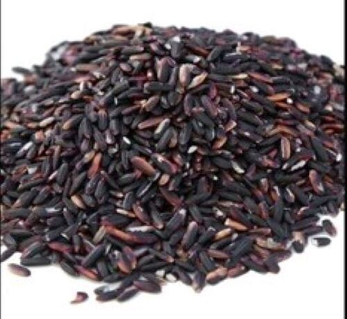 High In Protein Medium Grain Cooking Black Rice