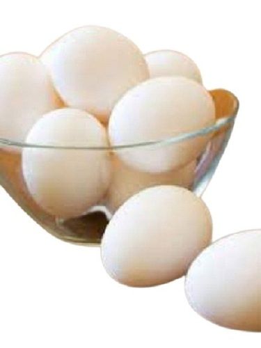 Oval Shape White Fresh Eggs