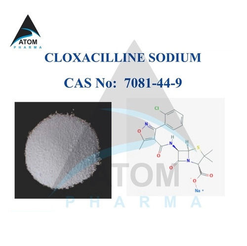 Cloxacillin Sodium Active Pharmaceutical Ingredients (API)