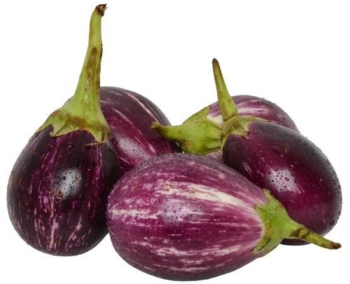 Farm Fresh Oval Shape Raw Brinjal Shelf Life: 4 Days