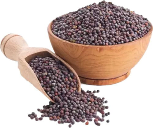 Pure And Dried Commonly Cultivated Edible Mustard Seed  Admixture (%): 1