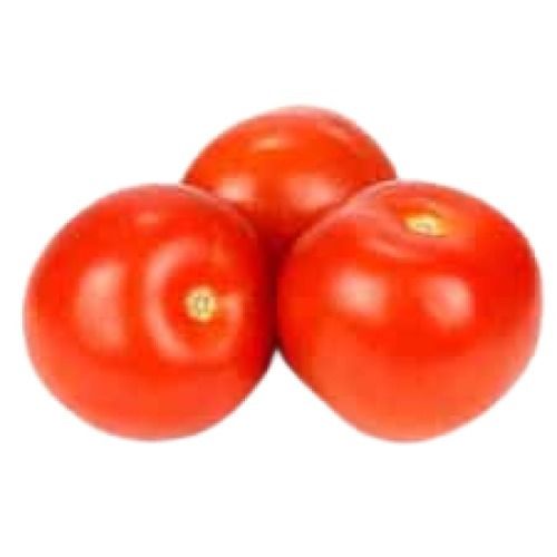 Naturally Grown Round Shape Farm Fresh Tomato